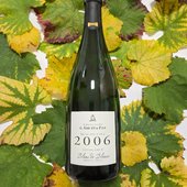 Aujourd'hui c'est le #champagneday2024

Pour découvrir ou redécouvrir cette cuvée nous vous proposons de déguster une flûte de notre Extra-Brut Blanc de Blancs de la Vendange 2006, qui se décline en bouteille verte et bouteille blanche. 🍾🥂

Il révèlera lors de la dégustation toutes les saveurs d'un grand vin de champagne "vintage" 🍾🥂🍇

Et pourquoi pas un joli cadeau à offrir pour les fêtes de fin d'année.

Dosage 3 g/l

‐---------------------------------------------------------------------------------------------------------
Achat disponible seulement par téléphone au :
03 26 80 48 19
Ou à notre accueil :
5 rue des Pressoirs 51260 BETHON - Marne

#champagneday #champagneday2024 #2006 #vintage2006 #annee2006 #vintage #champagne #automne #automnale #feuille #extrabrut #champagneextrabrut #extra #blancdeblancs #grandvin #vendange #vendange2006 #vieuxvin #fete #année #noel #noel2022 #christmas #xmas #cadeau #cadeaux #gift #old