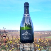 Au tour de notre cuvée Brut Grande Réserve de faire son défilé ! 🪨

Notre Brut Grande Réserve est un assemblage Chardonnay (80%) et Pinot Noir (20 %).

Info pratique : cette cuvée délicieusement fruitée conviendra à l'apéritif et/ou tout au long de vos repas.

Prochain habillage demain ... ✨️

#grandereserve #gris #argenté #grey #vineyard #aperetif #champagne #automne #nature #nouvel #habillage #bulle #vigne #vignoble #moderne #news #nouveau #nouveaute #gruetetfils #mont #montgenost #marne #champagnelover #champagnelife