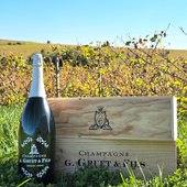 Notre sublime Jéroboam Brut Blanc de Blancs 100% Chardonnay 🍾 

Une question nous est souvent demandée :
Combien de bouteilles représentent un Jéroboam ? 

Réponse :
Le Jéroboam est l'équivalent de 4 bouteilles de champagne de 0,75 cl. Soit 300 cl (3 Litres) 🥂

Parfait lors de vos événements ou pour offrir 🎉🎁 

L'habillage de notre Jéroboam est un stikers créé et posé à la main par @michettes.and.co 🪡🎨🧵 

#jeroboam #jero  #champagnelove #champagnelover #bois #caisse #paysage #vigne #vignoble #vineyards #brut #blancdeblancs #brutblancdeblancs #champagne #marne #bethon