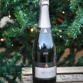 Millesime 2016🍾 

Notre champagne Brut Blanc de Blancs Millésimé 2016 est subtile, raffiné, il exprime le meilleur de la Champagne lors de la dégustation. 🥂 

Affiné par un long vieillissement en cave, ce millésime, issu d'une grande année (2016), révèle les arômes incomparables du Chardonnay. 

Pensez à vos cadeaux de Noël !! 
Offrez du champagne 🍾🎁 

L'alcool est dangereux pour la santé, à consommer avec modération ⚠️ 

#millesime #millesime2016 #2016 #noel #christmas #sapin #fir #cadeau #cadeaudenoel #perenoel #santaclaus #ours #bear #fut #oakbarrel  #vendange2016 #chardonnay #champagnelover #lovechampagne #vineyard #vignoble #champagne #gruet #champagnegruet #champagnegruetetfils #gruetetfils #champagneardenne #marne #bethon #cotesezannaise