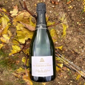 Notre Brut Blanc de Blancs Millésimé fait son entrée avec son nouvel habillage 🌟

Affiné par un long vieillissement en cave notre Millésimé (2016) révèle les arômes incomparables du Chardonnay 

Comment trouvez-vous nos nouveaux habillages ?

#millesime #Millésimé #2016 #doré #or #vineyard #aperetif #champagne #automne #chardonnay #nature #nouvel #habillage #bulle #vigne #feuille #vignoble #moderne #news #nouveau #nouveaute #gruetetfils #marne #champagnelover #champagnelife