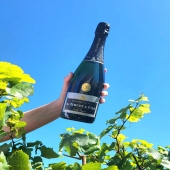Pensez à notre champagne Brut Grande Réserve pour profiter des dernières belles soirées d'été 🌞☀️ il sublimera vos repas.

Seule cuvée de notre gamme composée d'un assemblage 80% Chardonnay et 20 % Pinot noir. 

Cuvée fruitée et d'une grande finesse. 

⚠️ attention l'abus d'alcool est dangereux pour la santé !

#été #summer #soleil #sun #brut #chardonnay  #pinotnoir #pinot #vigne #vignoble #winelovers #wineyards #wineyard #raisin #grape #grapes #colors #harvers