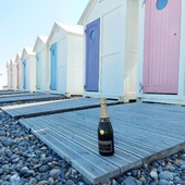 Coquillages et Champagne cet été. 🌞🍾

Suite en images du week-end de 3 jours au Tréport pour notre Brut Blanc de Blancs !

Le Tréport et ses jolies petites cabanes sur la plage aux couleurs pastelles.

On adore et vous ?? 🛖🎨

#champagne #gruet #champagnegruetetfils #brut #blancdeblancs #brutblancdeblancs #vacance #holiday #cabane #couleur #plage #beach #galet #pebble #sable #sand #mer #sea #changementdair #treport #labaiedelasomme #baiedesomme #phoque #champagnelover #champagnelovers