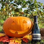 Notre demi-bouteille Brut Blanc de Blancs sera parfaite pour accompagner vos repas d'automne 🍾🍂🍁

⚠️ L'abus d'alcool est dangereux pour la santé 

#halloween #citrouille #pumpkin #gosht #automne #autumn #monstre #monster #champagne #demibouteille #brut #brutblancdeblancs #champagnelover #champagnegruet #champagneardenne