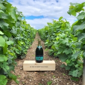 Quoi de mieux qu'un Jéroboam pour les grandes et belles occasions ??

300 cl de bulles qui pétillent dans ce superbe contenant vendu avec sa caisse en bois.

🍾🥂

#jero #jeroboam #jeroboam300
#litres #vin #vintage
#bulle #bubble 
#bois #nature
#vigne #vine
#vineyards #vineyard 
#champagne #gruet #gruetetfils #champagnegruetetfils
#france #marne #champagneardenne #bethon