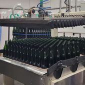 Le tirage (mise en bouteilles) est réalisé lorsque les assemblages sont prêts. C’est un moment fort de plusieurs jours (ici 9 jours) où l’ensemble de la production annuelle est mise en bouteille.🍾

Notre cuviste Loïc gère l'approvisionnement en vin de la tireuse depuis la cuverie. Puis notre chef de cave Romain ainsi que 5 autres personnes assurent le bon fonctionnement des machines et la mise en cave de nos bouteilles pour 15 mois minimun.

Mais le tirage ne se résume pas à une simple mise en bouteilles : notre Œnologue Delphine prépare une liqueur de tirage constituée de moûts, sucres, levures. C'est ainsi que débute la "prise de mousse". 
Les levures consommeront le sucre, libérant l'alcool et l'effervescence de nos vins. 

#pourtoi #vin #vins #wine #vineyard #bouteilles #miseenbouteille #tirage #cuviste #caviste #œnologue #cave #cuverie #liqueur #sucre #levure #chef #travail #work #champagne